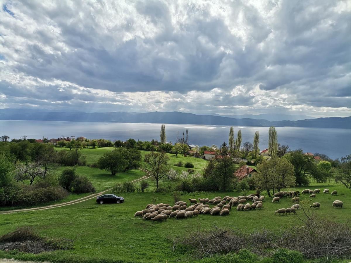 Villa Grkasha Ohrid Exterior photo